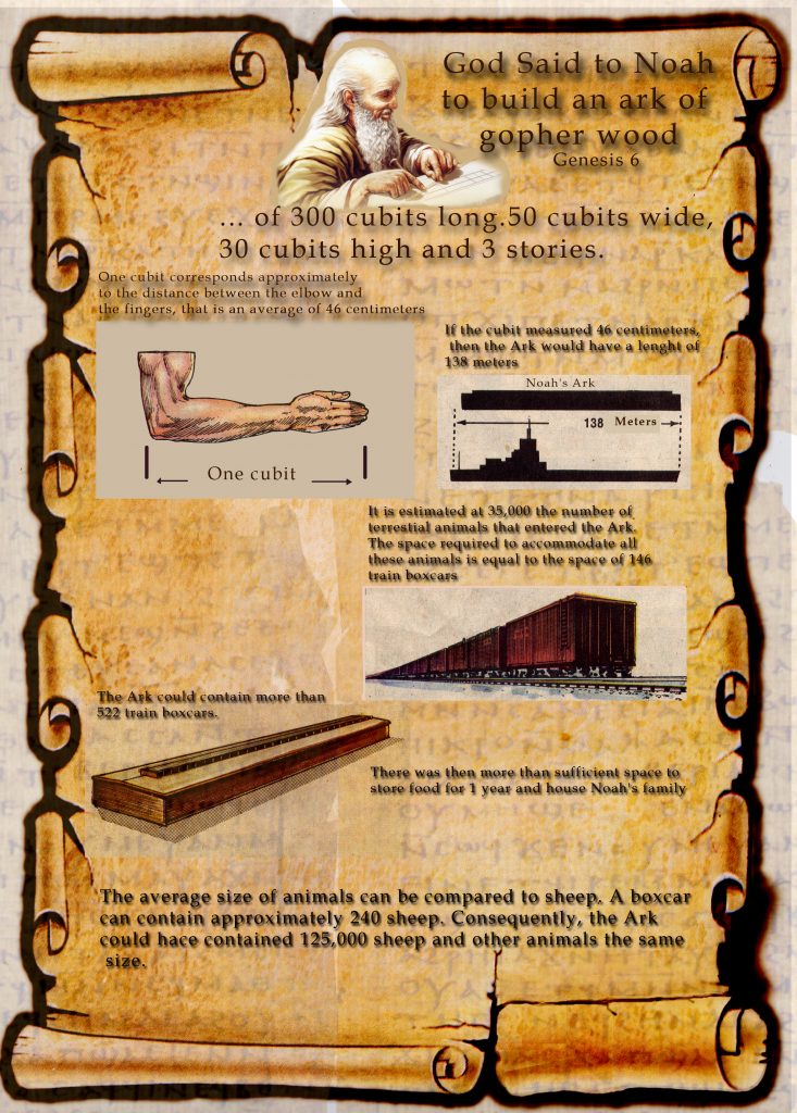 Dimensions of the Ark for the Flood