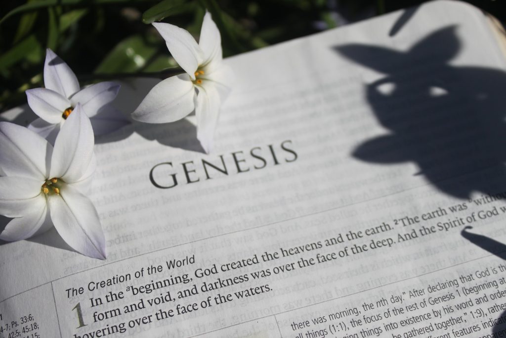 Creation